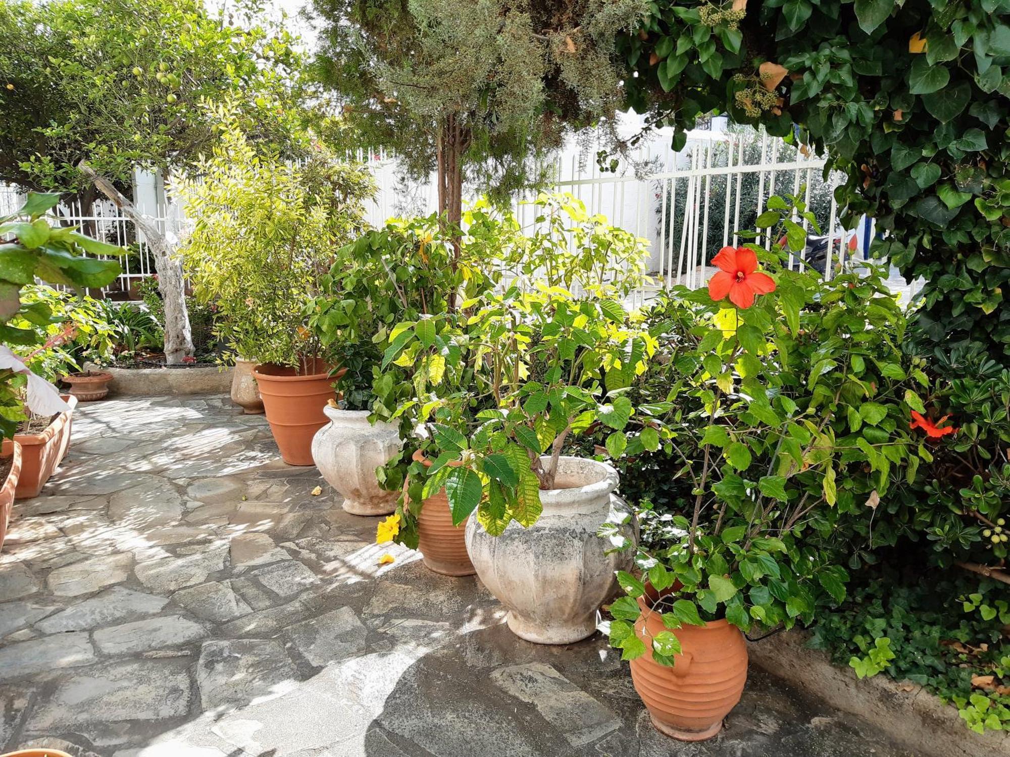 The Elegant Summer House Spetses Town Екстер'єр фото
